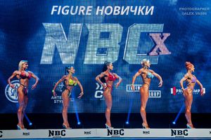 FIGURE НОВИЧКИ